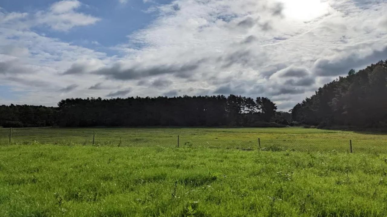 AreaSummer5KM AreaSummer5KM